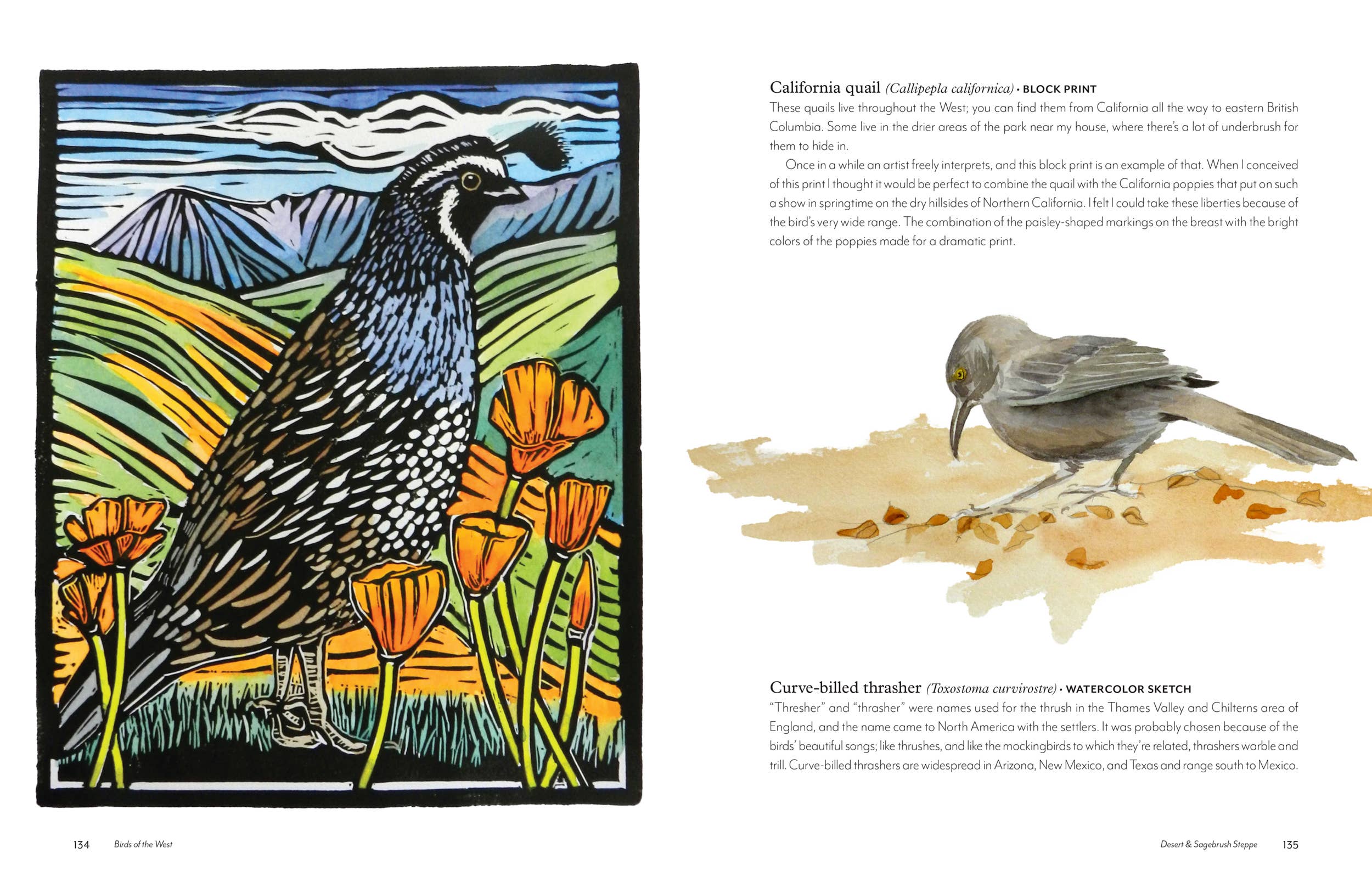 Image of open pages in book with illustrations of birds