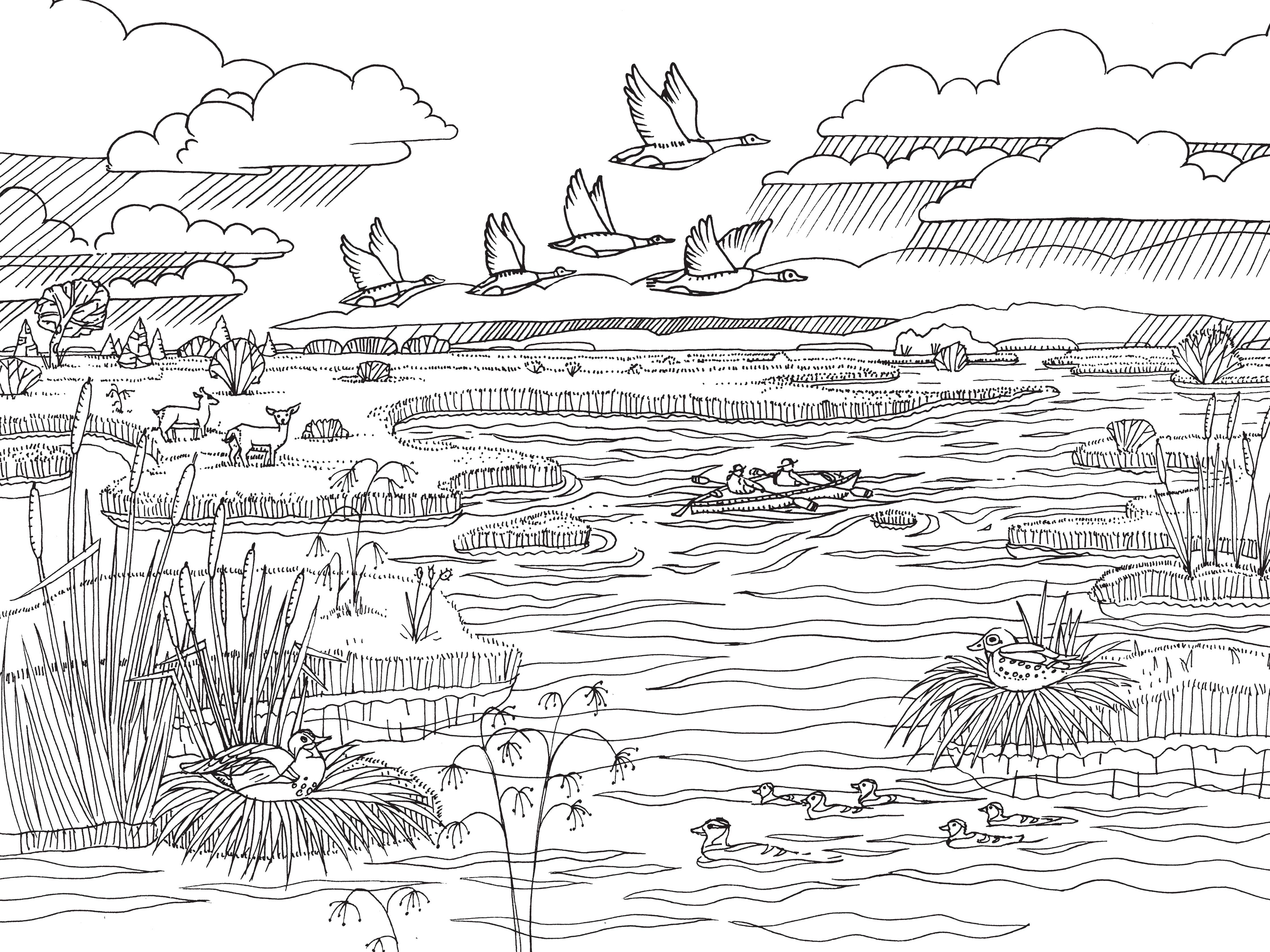 Coloring page of marsh scene