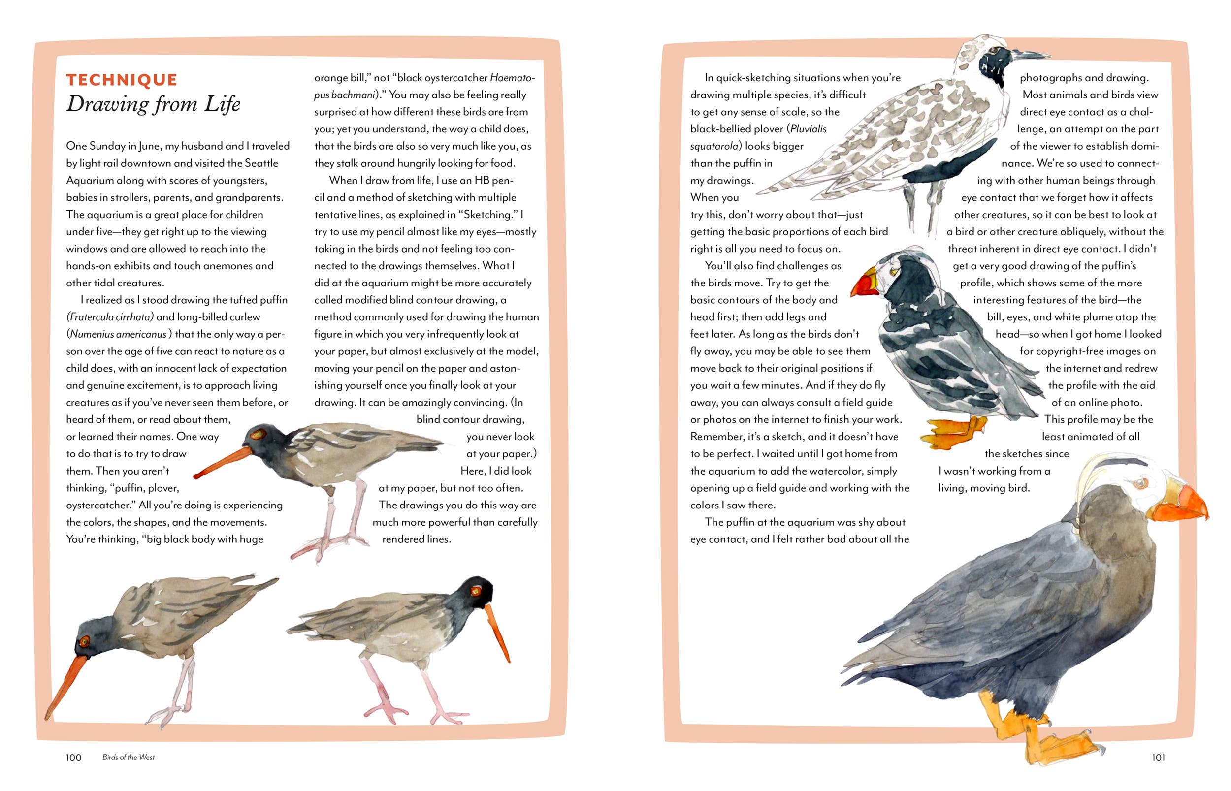 Book open to page with bird illustrations and text.