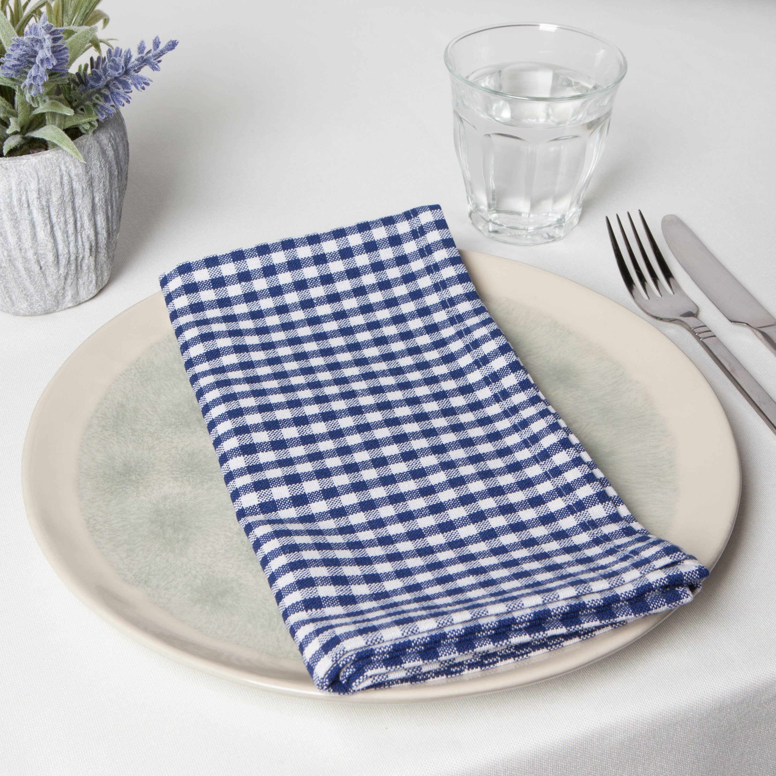 Blue Gingham Napkins- Set of 4