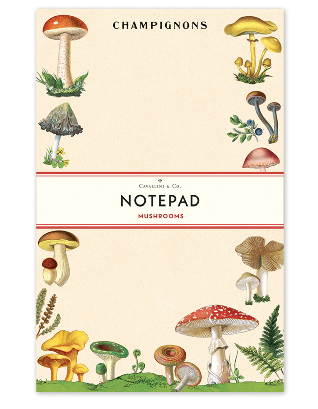 Mushroom Notepad