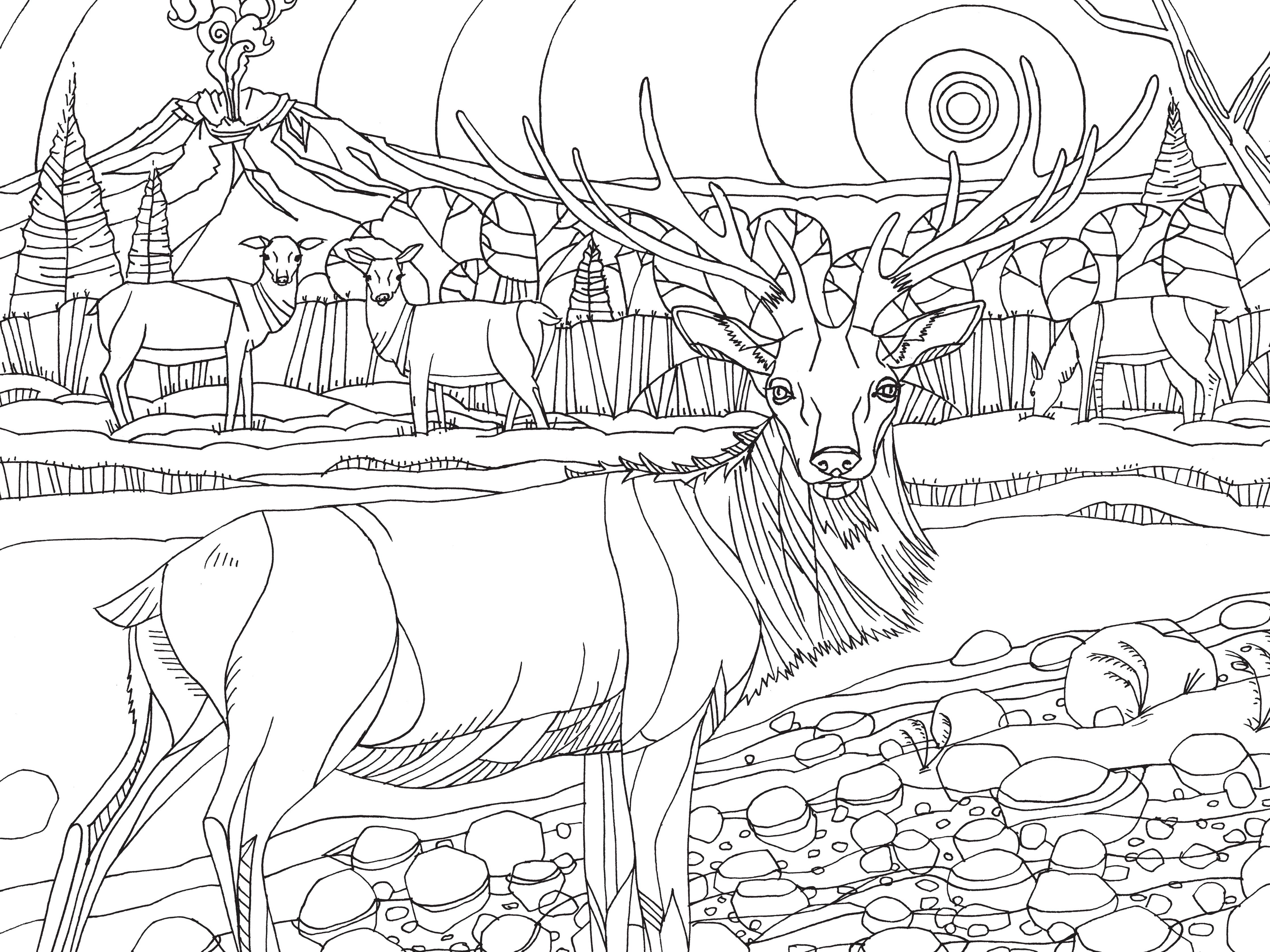 Coloring page with deer scene