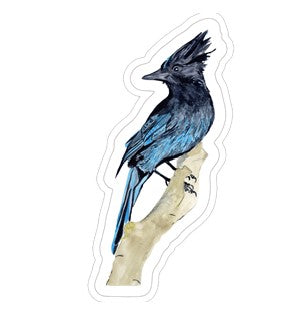 Sticker of painted blue jay on vertical branch