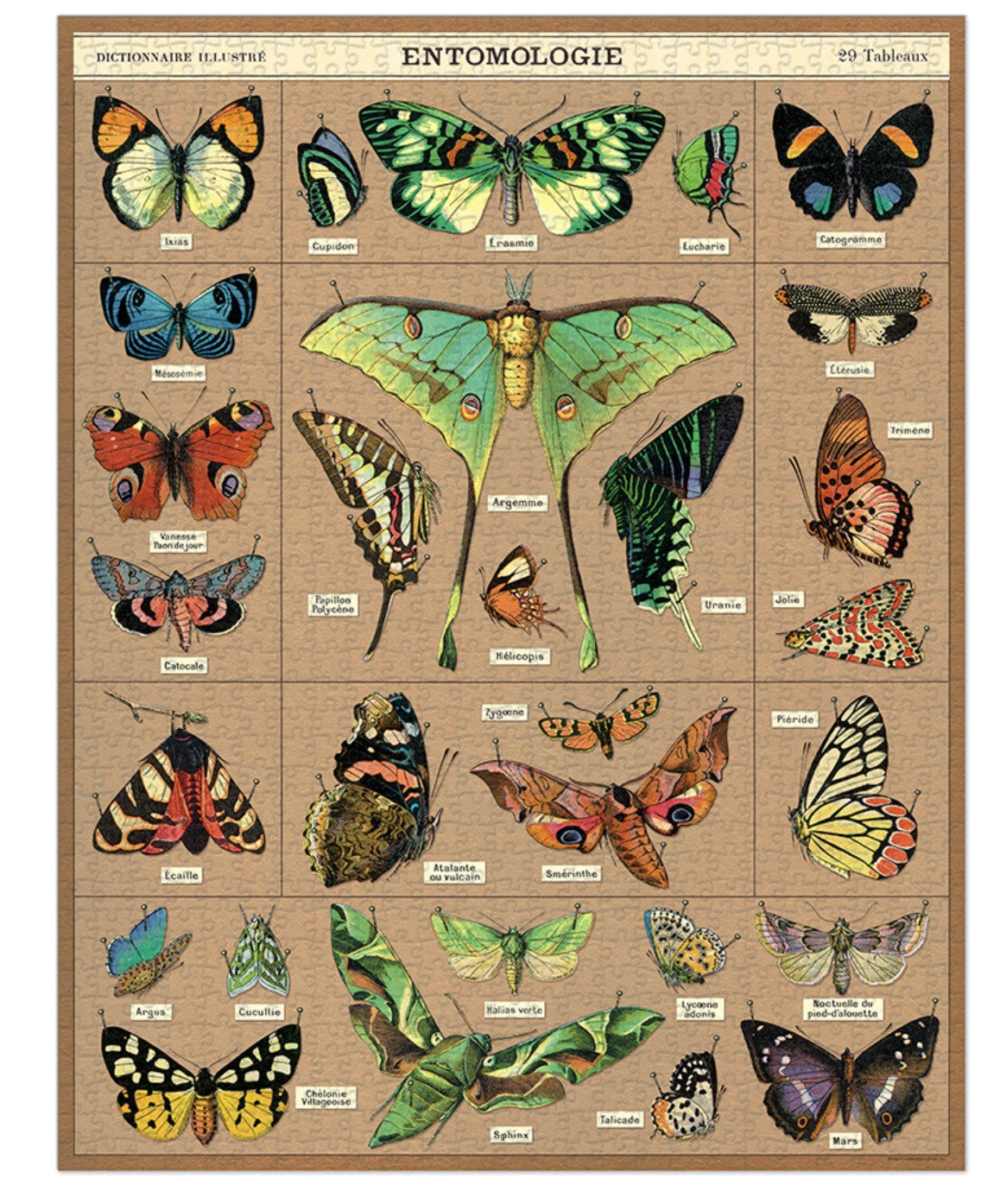 Entomology Puzzle