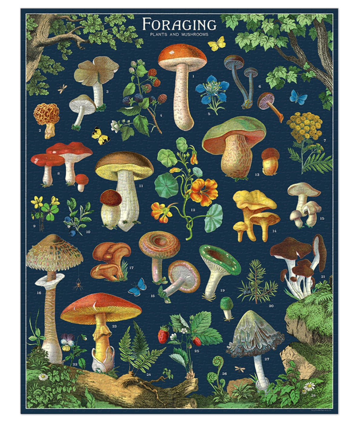 Foraging Puzzle