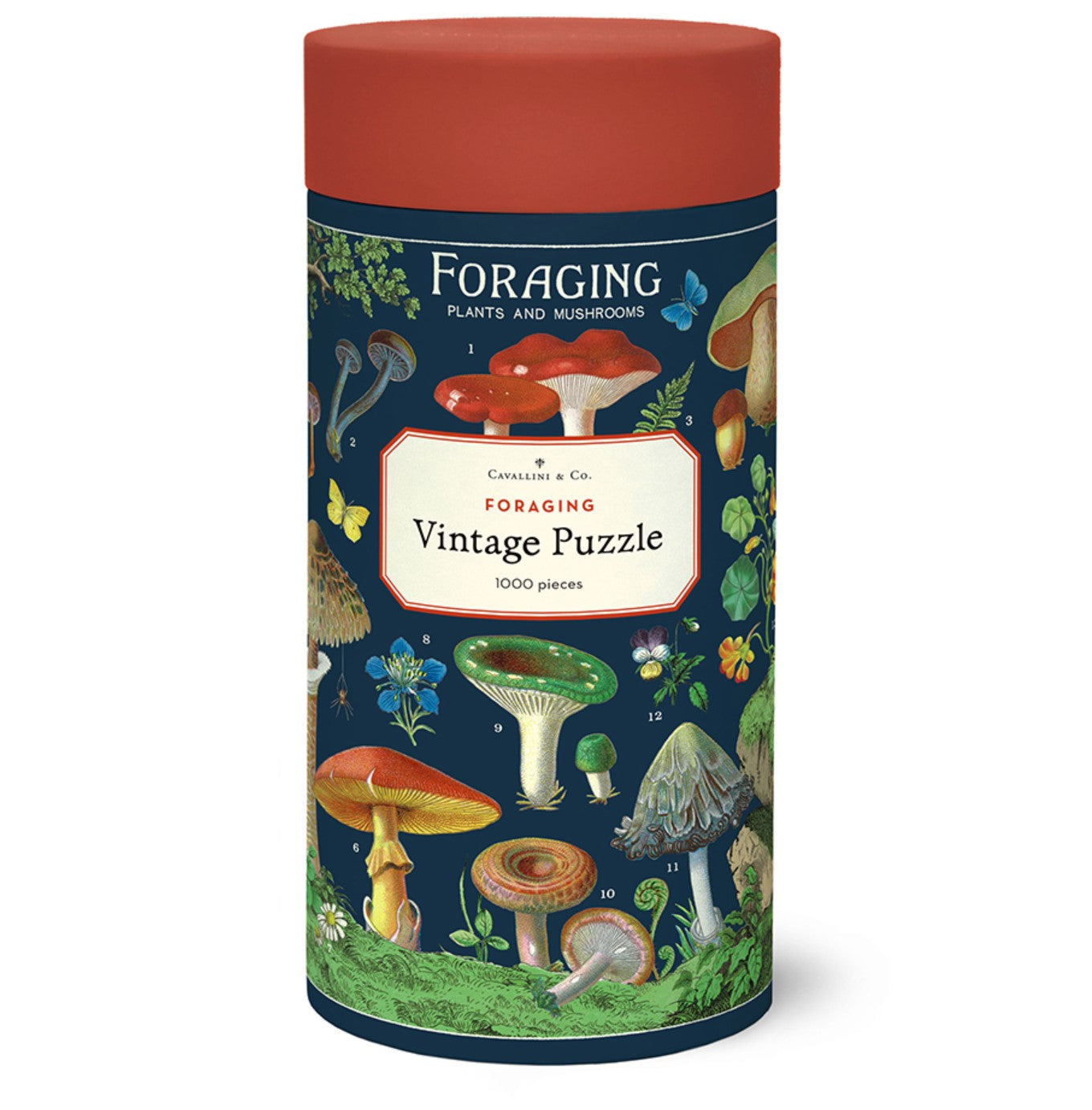 Foraging Puzzle