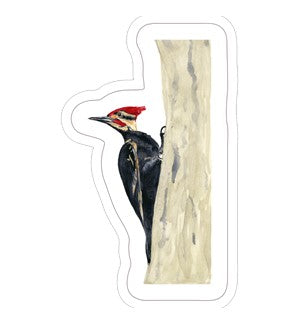 Sticker with painted woodpecker on tree trunk in realistic color