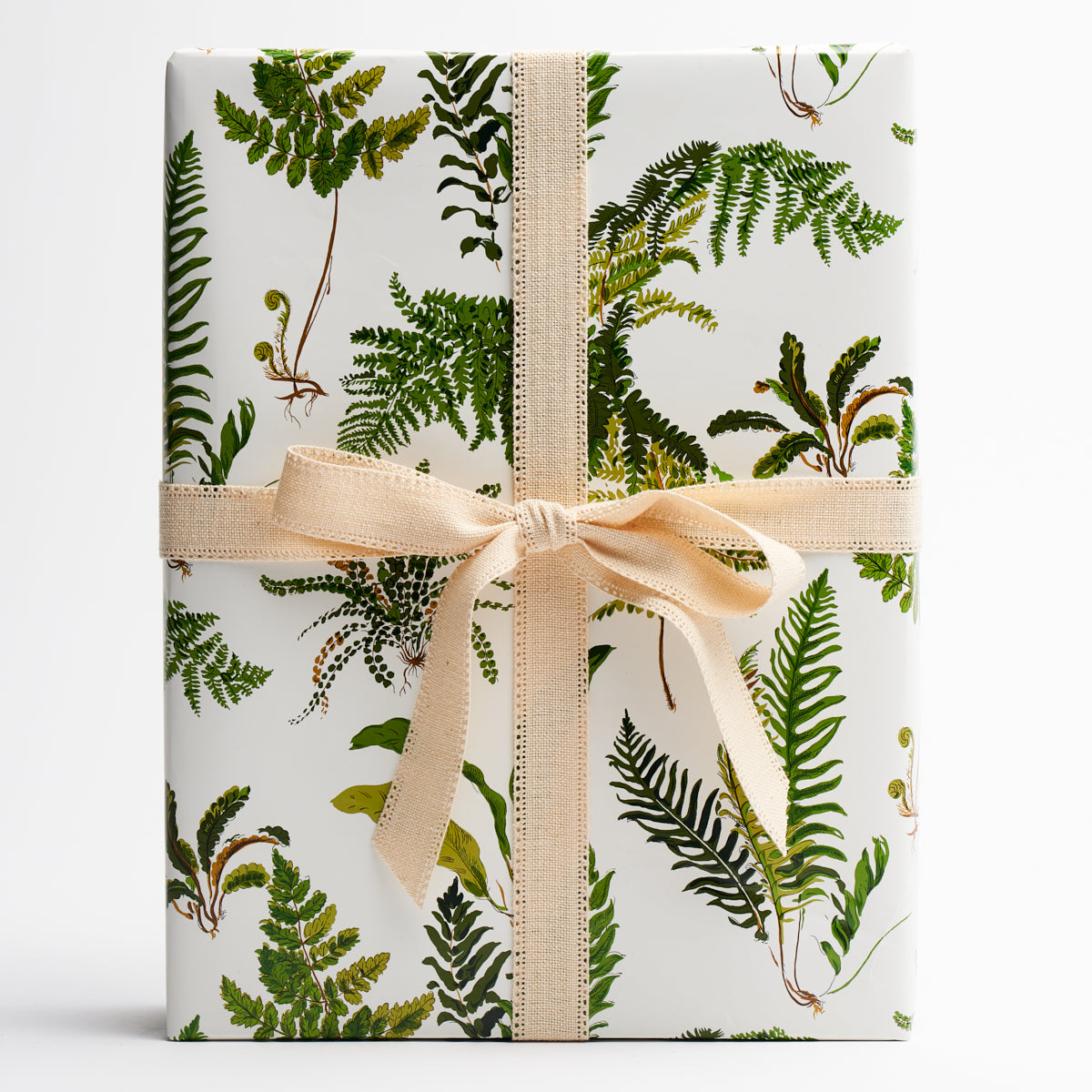Les Fougeres Wrapping Paper