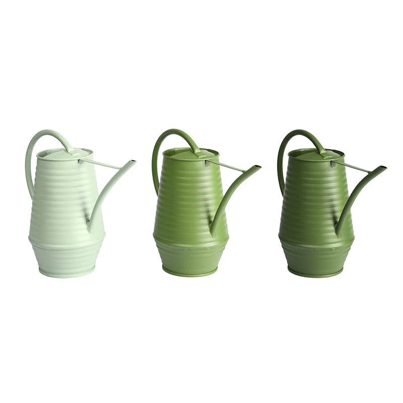 Shades of Green Indoor Watering Can, 0.96 L, 3 Asst. Colors