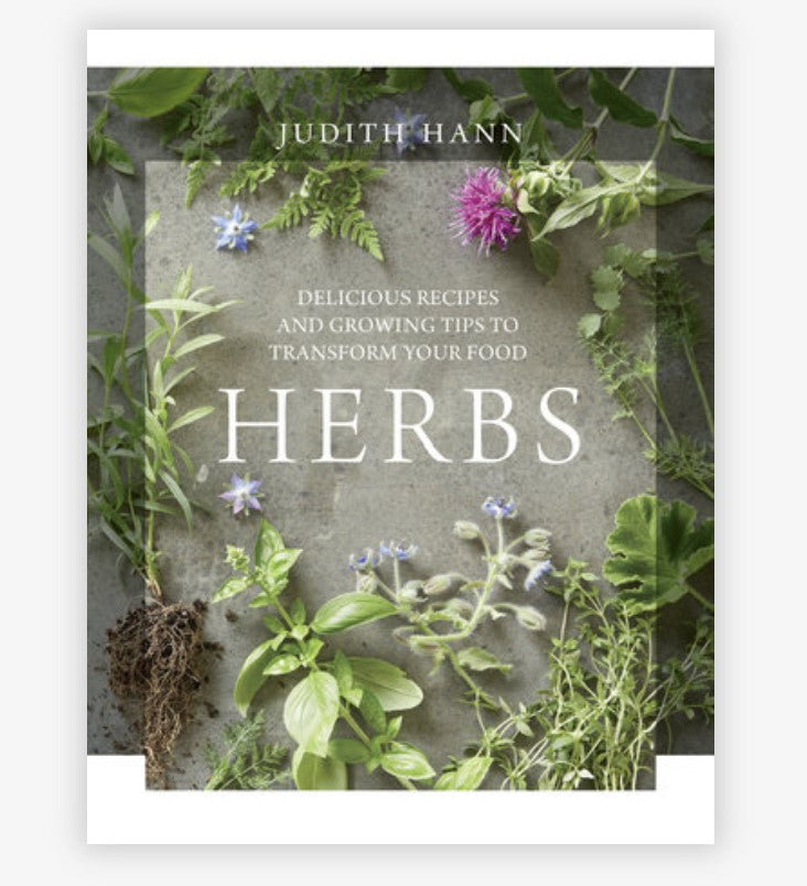 Herbs - Judith Hann