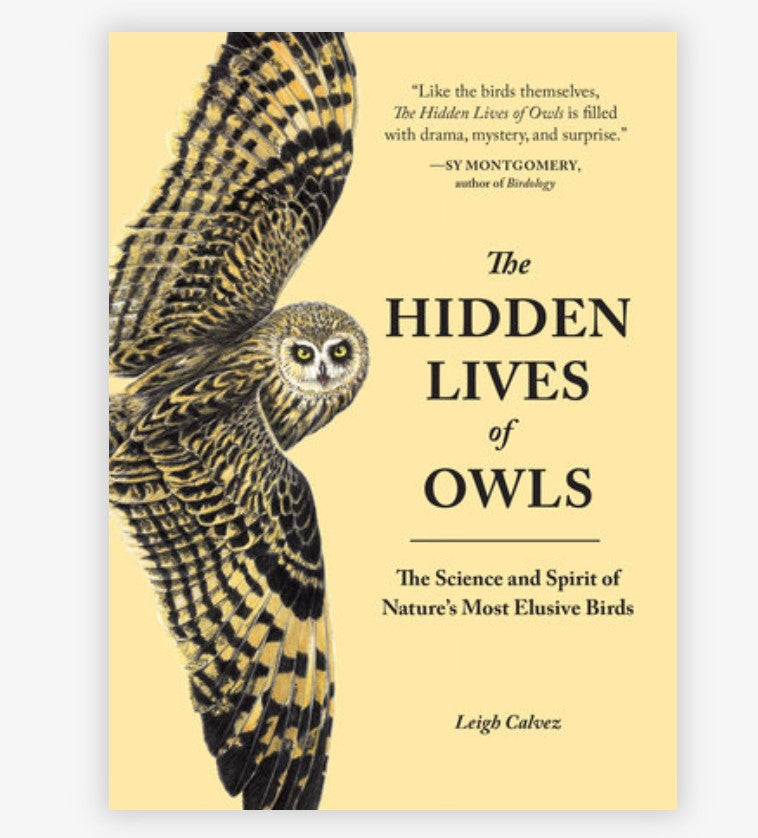 The Hidden Lives of Owls- Leigh Calvez